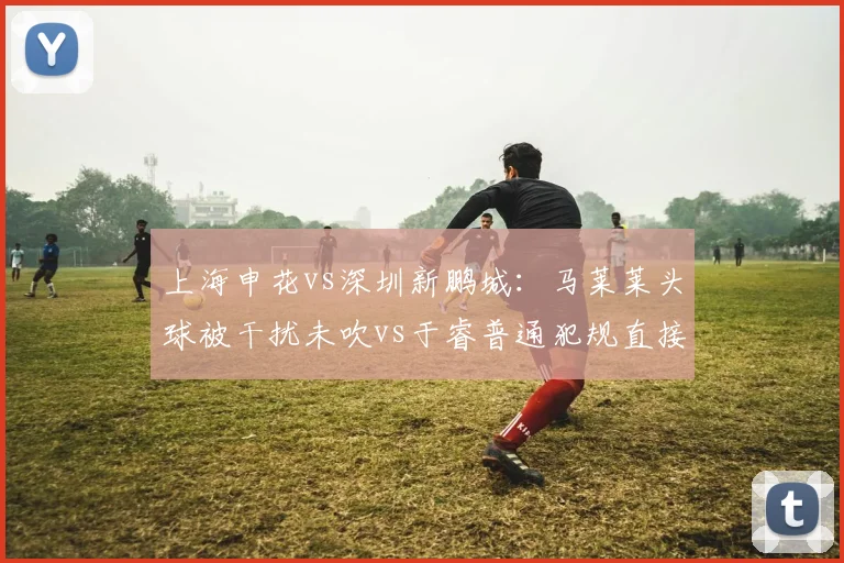 上海申花vs深圳新鹏城：马莱莱头球被干扰未吹vs于睿普通犯规直接红牌，判罚争议